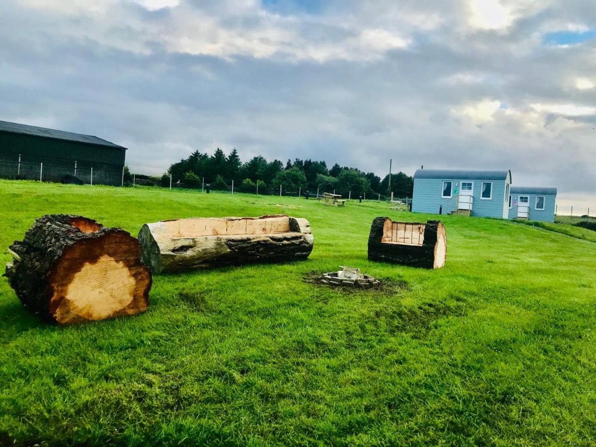 The Beautiful Lazy Llama Shepherd Hut Farm Stay Ballyshannon Exterior foto