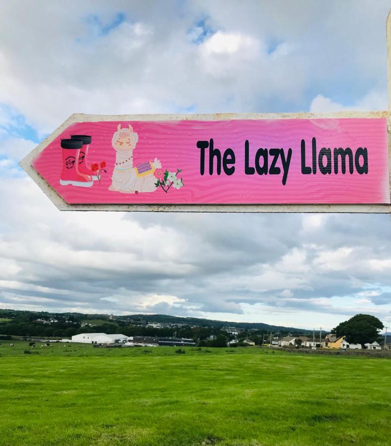 The Beautiful Lazy Llama Shepherd Hut Farm Stay Ballyshannon Exterior foto
